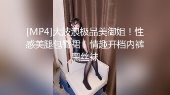 [MP4]大波浪极品美御姐！性感美腿包臀裙！情趣开档内裤黑丝袜