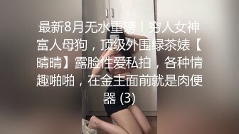 最新8月无水重磅！穷人女神富人母狗，顶级外围绿茶婊【晴晴】露脸性爱私拍，各种情趣啪啪，在金主面前就是肉便器 (3)