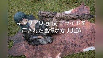 キャリアOL痴汉 プライドを污された高慢な女 JULIA