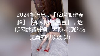 2024年流出，【私房加密破解】【秀人网 陆萱萱】，透明网纱紧身裙，若隐若现的感觉真的很顶级 (2)