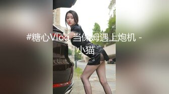 #糖心Vlog 当保姆遇上炮机 - 小猫