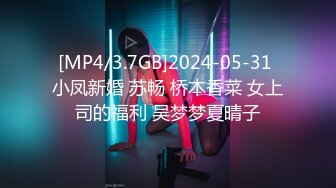 [MP4/3.7GB]2024-05-31 小凤新婚 苏畅 桥本香菜 女上司的福利 吴梦梦夏晴子