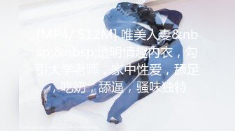 [MP4/ 512M] 唯美人妻&nbsp;&nbsp;透明情趣内衣，勾引大学老师，家中性爱，舔足，吃奶，舔逼，骚味独特