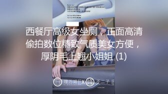 西餐厅高级女坐厕，正面高清偸拍数位精致气质美女方便，厚阴毛上翘小姐姐 (1)