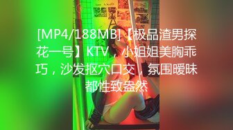 [MP4/188MB]【极品渣男探花一号】KTV，小姐姐美胸乖巧，沙发抠穴口交，氛围暧昧都性致盎然