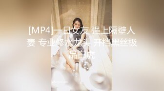 [MP4]一日女友 强上隔壁人妻 专业修水龙头 开档黑丝极品白虎