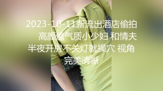 2023-10-11新流出酒店偷拍❤️高颜值气质小少妇 和情夫半夜开房不关灯就操穴 视角完美清晰