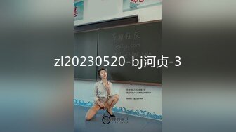 zl20230520-bj河贞-3