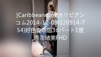 [Caribbeancom]カリビアンコム2014-12-09(120914-754)好色妻降臨36パート1菅原奈緒美FHD