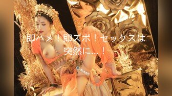 即ハメ！即ズボ！セックスは突然に…！