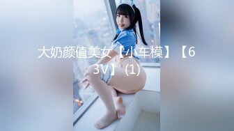 大奶颜值美女【小车模】【63V】 (1)