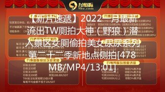 【新片速遞】2022一月最新流出TW厕拍大神（野狼）潜入景区女厕偷拍美女尿尿系列第二十二季新地点侧拍[478MB/MP4/13:01]